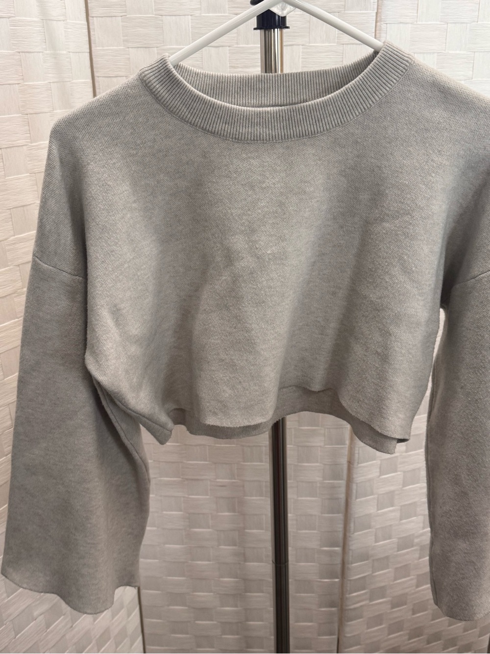 Light Gray Cropped Sweatshirt — Women's Relaxed Crewneck - Thick